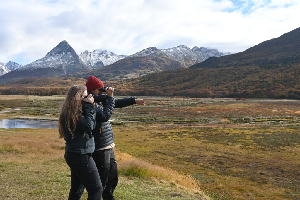 Birding guides observing birds in Tierra del Fuego, Ushuaia