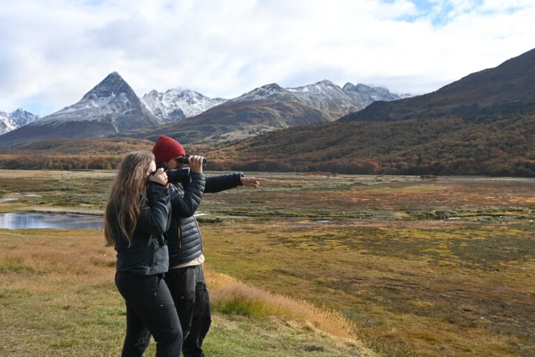 Birding guides observing birds in Tierra del Fuego, Ushuaia